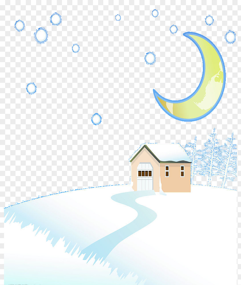 Night Moonlight Winter PNG