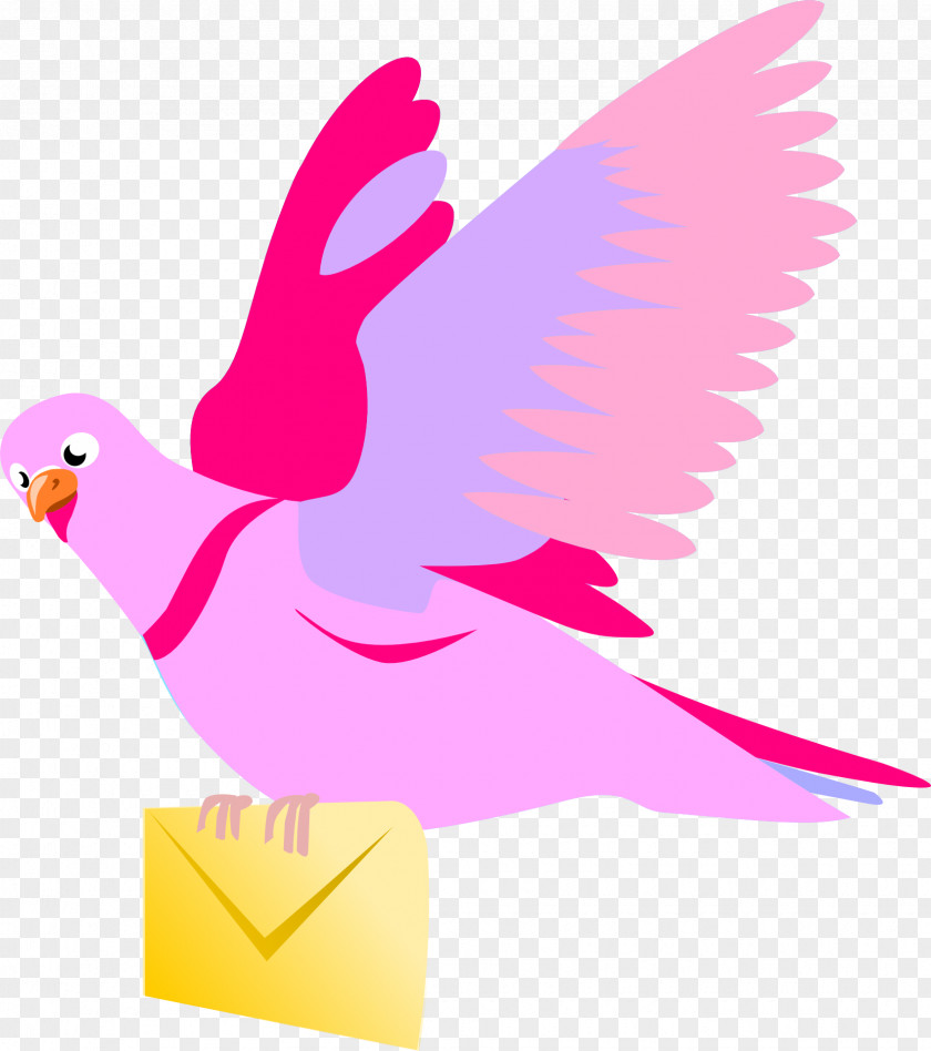 Pigeon English Carrier Columbidae Flight Squab Clip Art PNG