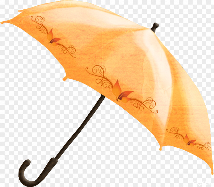 Umbrella Clip Art PNG