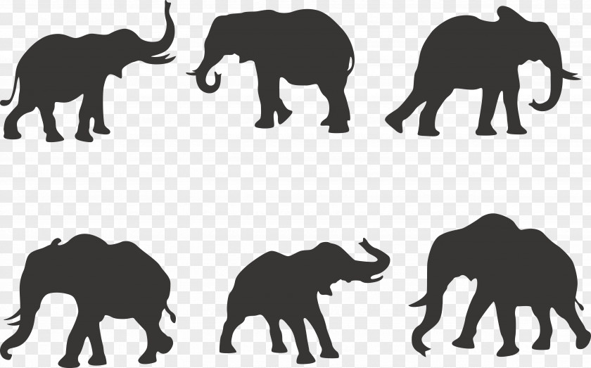 6 Elephant Silhouette Vector African Indian PNG
