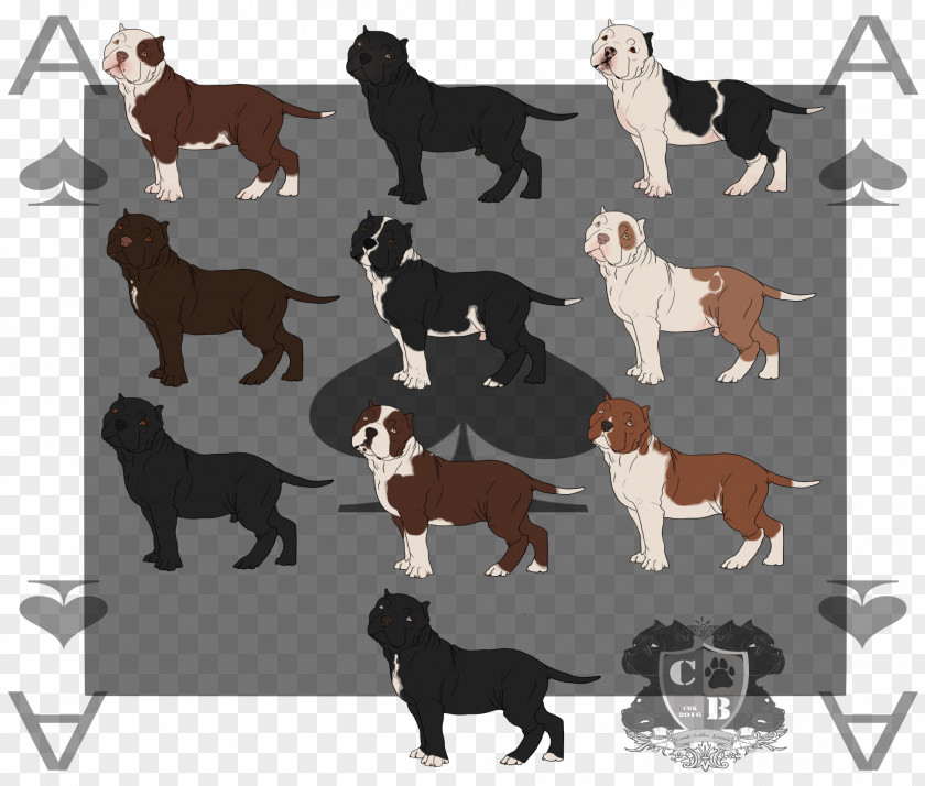 Dog Breed Sporting Group PNG