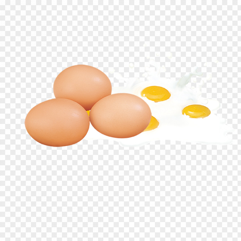 Egg Chicken White Yolk PNG