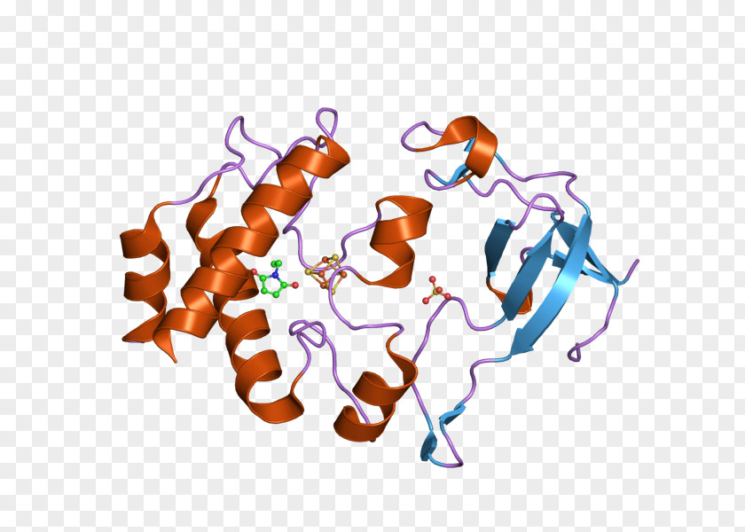 Ferredoxin-thioredoxin Reductase Oxygenic Photosynthesis: The Light Reactions PNG