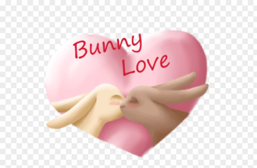 Lovely Rabbit Valentine's Day Love Greeting & Note Cards Pink M Bred By Bliss Als EBook Von Kira Wilde PNG