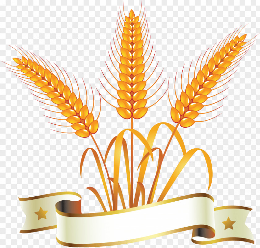 Wheat Clip Art Vector Graphics PNG