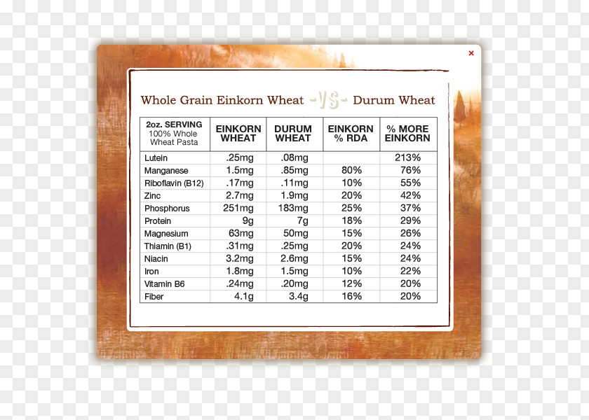 Whole-wheat Flour Einkorn Wheat 1950s Glycemic Index Pensacola Nutrition PNG