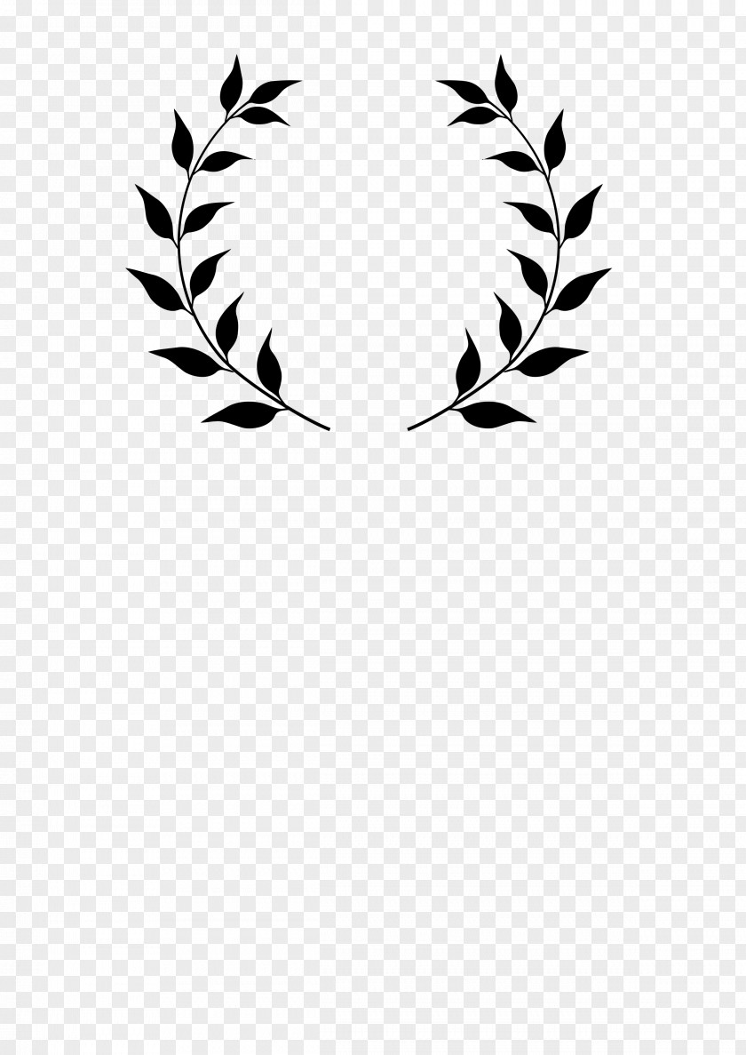 Chalkboard Writing Bay Laurel Wreath Branch Clip Art PNG