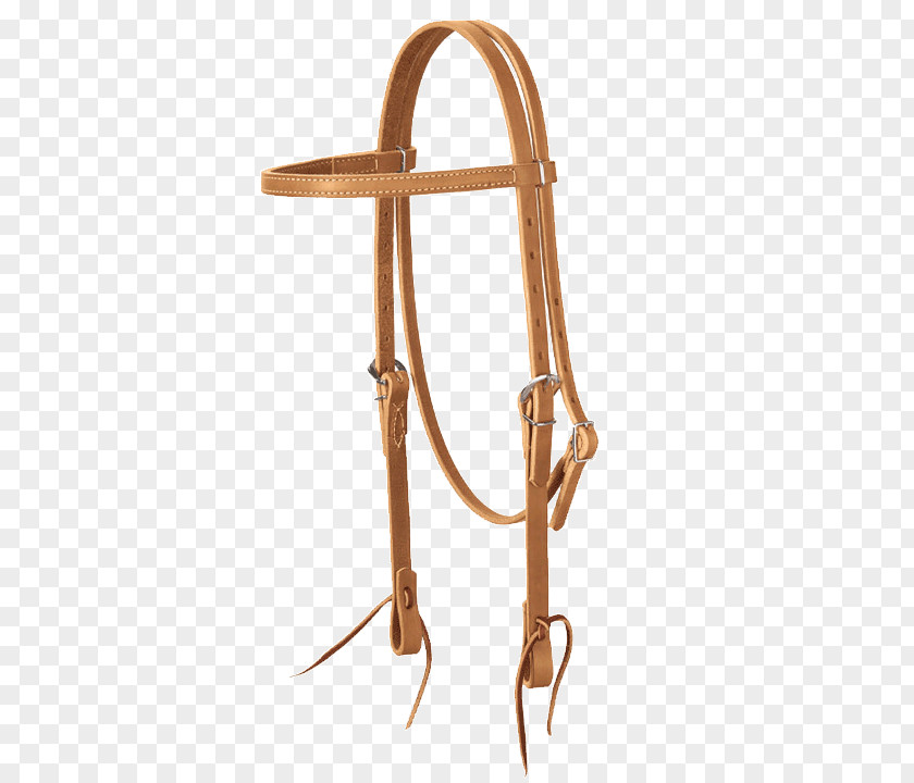 Horse Bridle Tack Halter Equestrian PNG