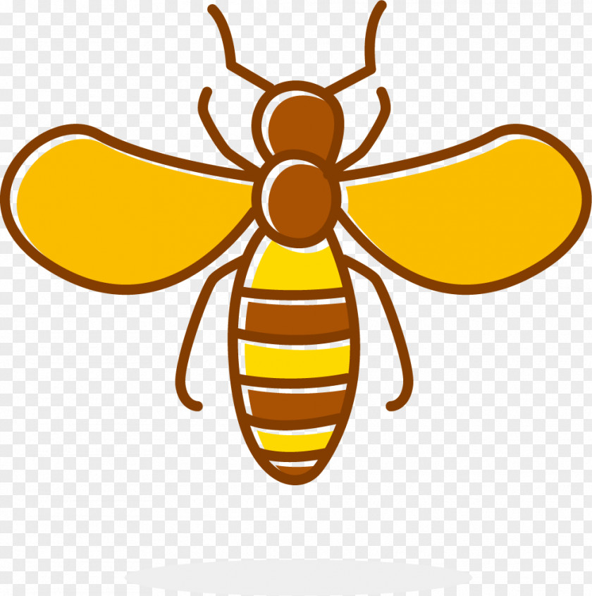 Light Bee Venom Honey Apidae Clip Art PNG