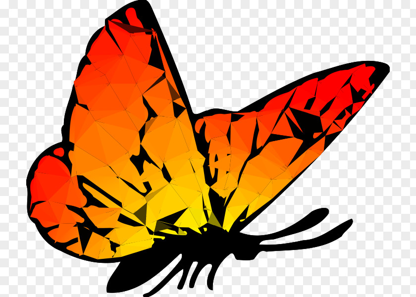 Monarch Butterfly Drawing Clip Art Image PNG