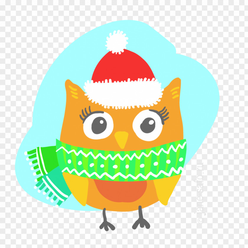 Owl Little Bird Clip Art PNG
