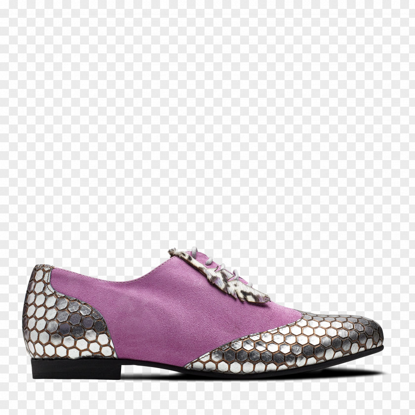 Women Shoes Shoe Suede Footwear Silver Calfskin PNG