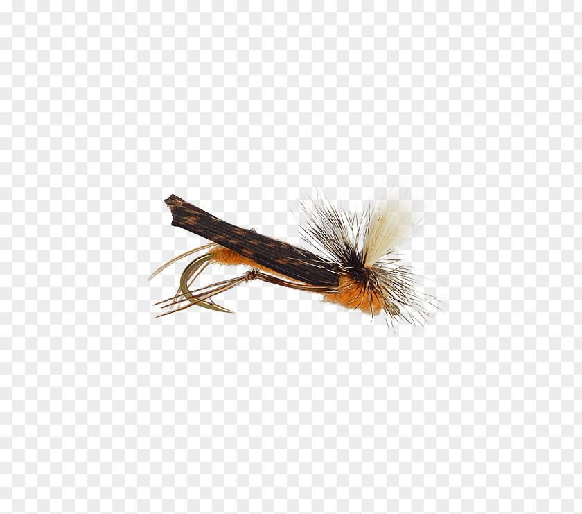 Fly Tying Artificial Insect Holly Flies PNG