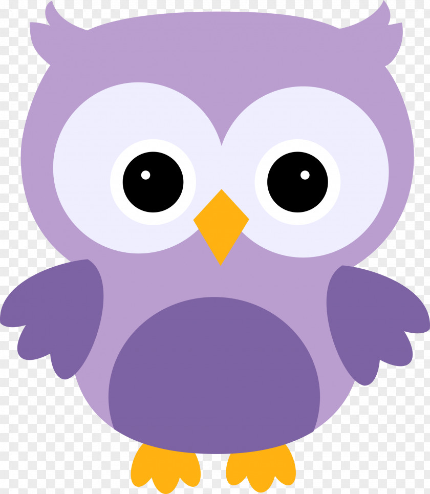 Owl Little Bird Paper PNG