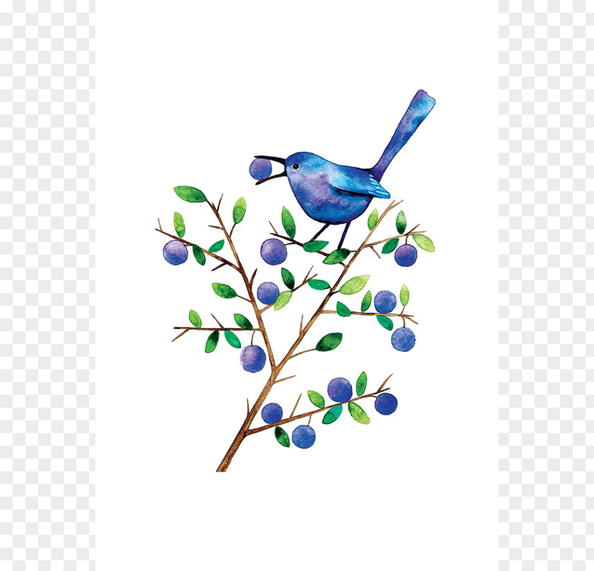 Bird Watercolor Painting Drawing Blackthorn Clip Art PNG