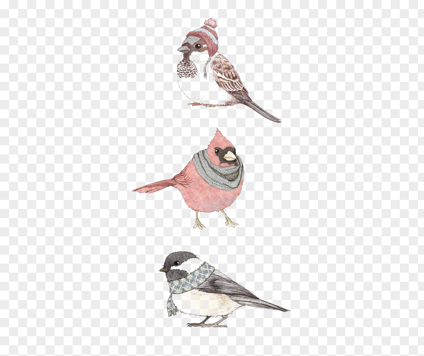 Birds PNG