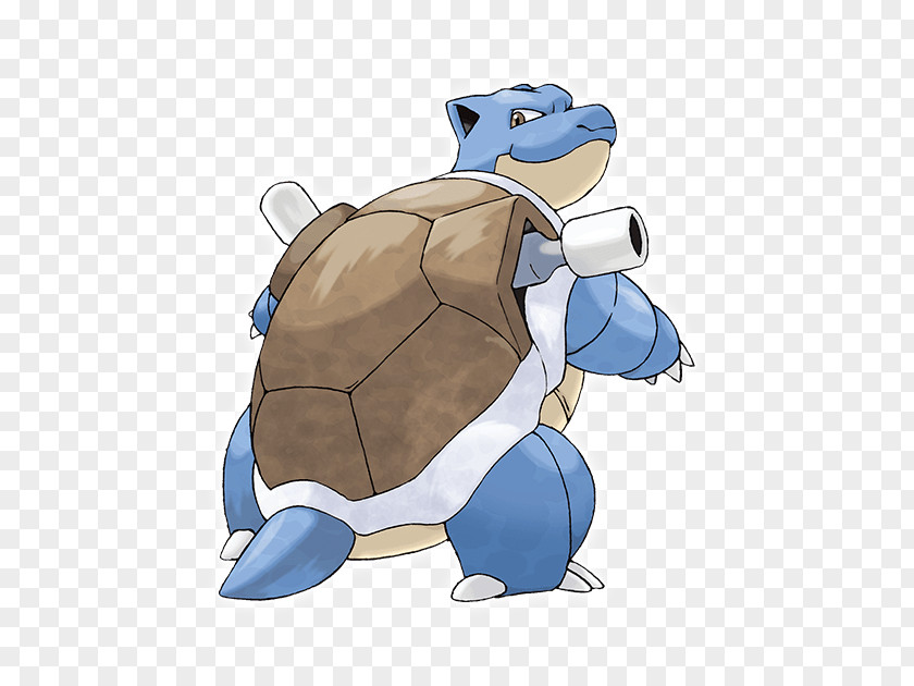 Blastoise Banner Wartortle Feraligatr Generazione Squirtle PNG