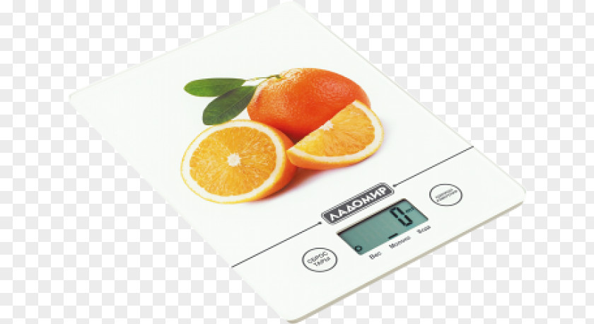 Kitchen Measuring Scales Home Appliance Price Blender PNG