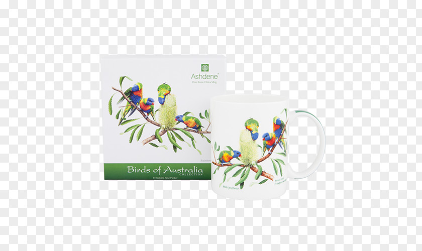 Lories And Lorikeets Bird Mug Rainbow Lorikeet Coasters Flowerpot PNG
