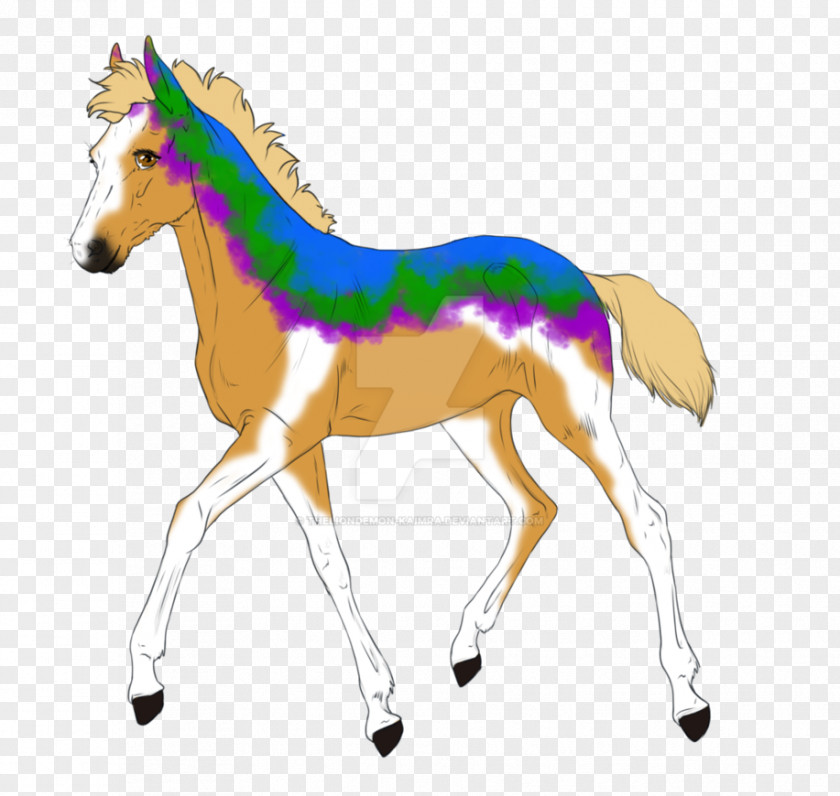 Mustang Mane Foal Colt Stallion PNG