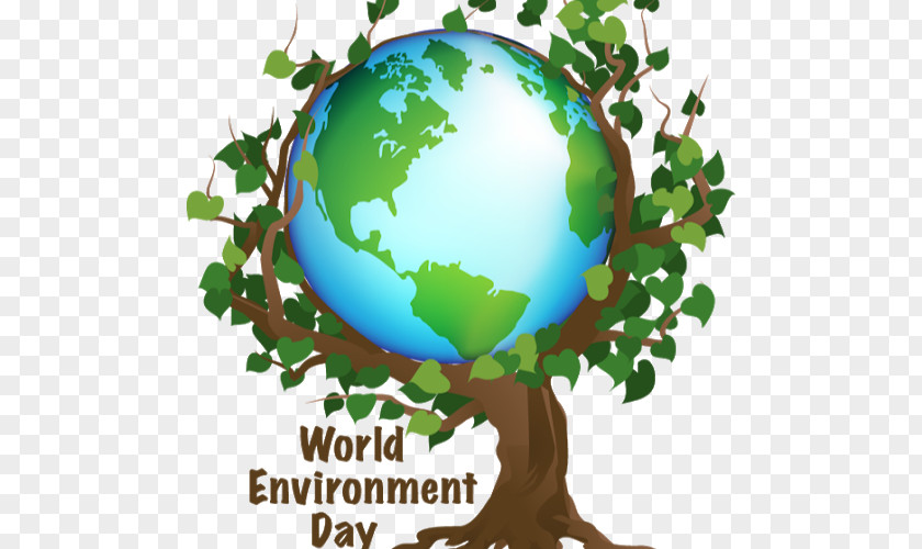 Natural Environment World Day 5 June Nature PNG