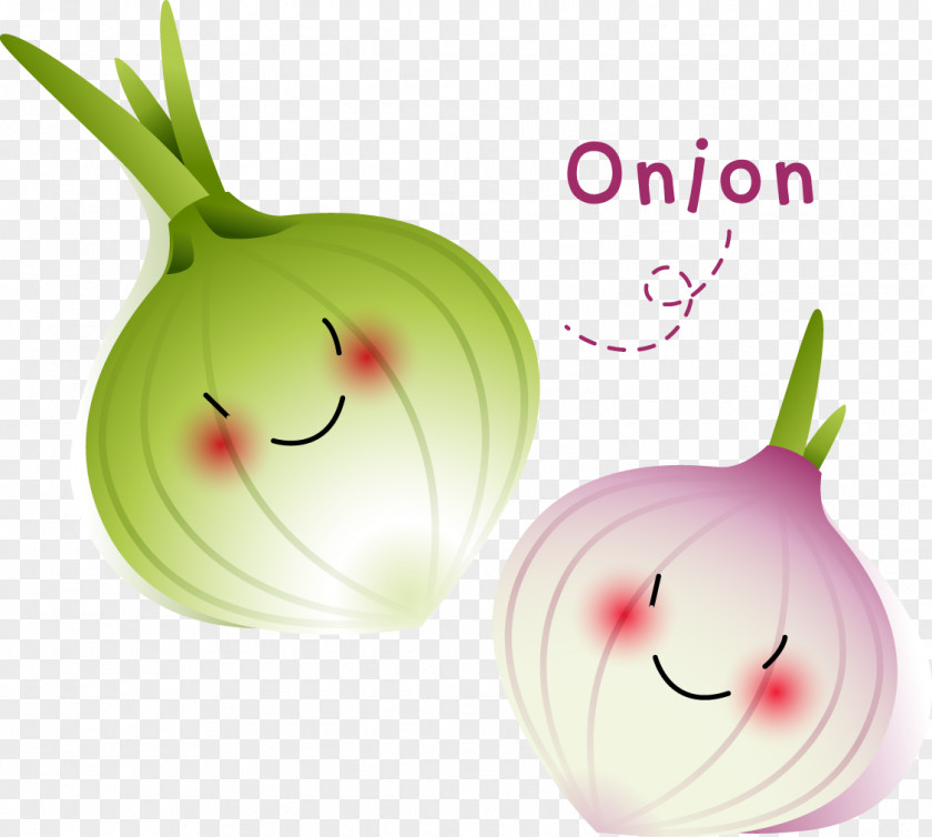Onion Vegetable Cartoon PNG