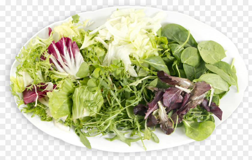 Salad-bowl Greek Salad Caesar Waldorf Vegetarian Cuisine Romaine Lettuce PNG