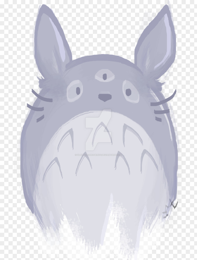 Totoro Dog Pig Hare Mammal Snout PNG