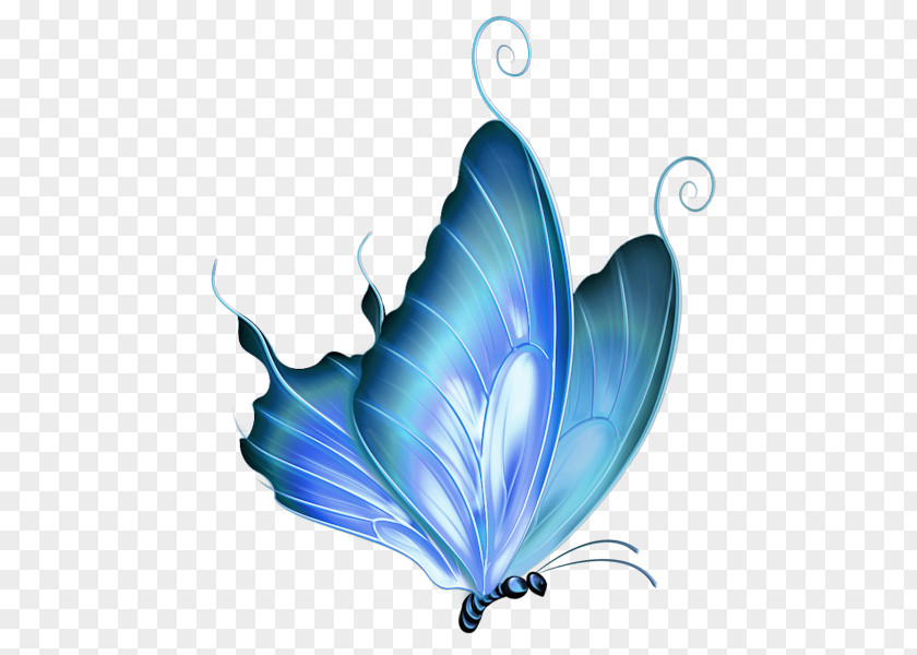 Butterfly Drawing Clip Art PNG