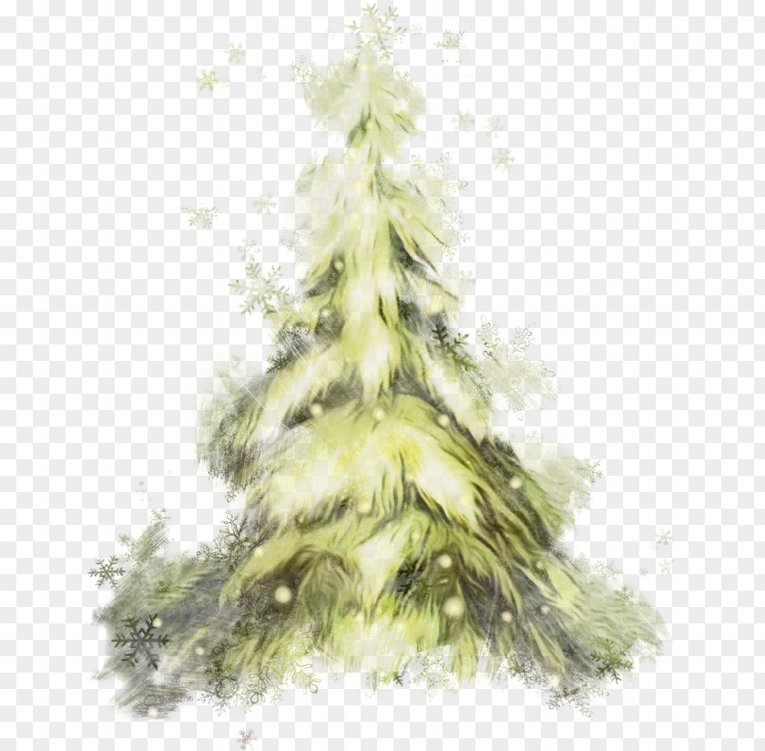 Christmas Tree PNG