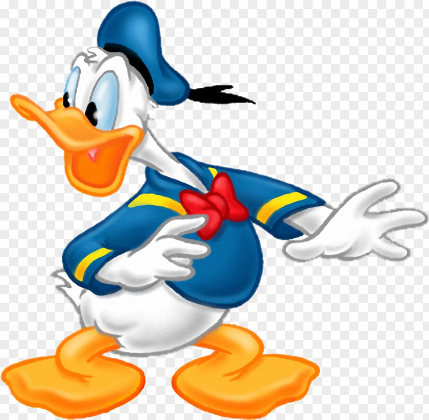 Donald Duck Scrooge McDuck Drawing Clip Art PNG