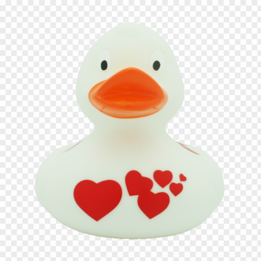 Duck Rubber Toy Dog Love PNG