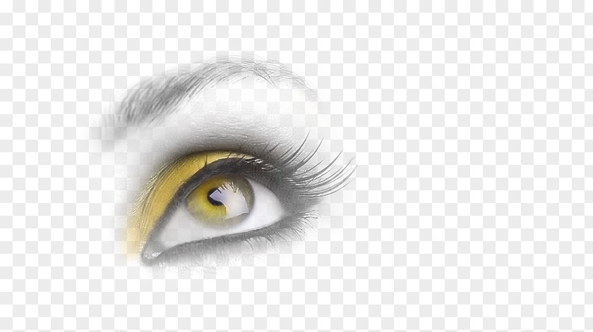 Eye Iris Face Portrait Photography PNG