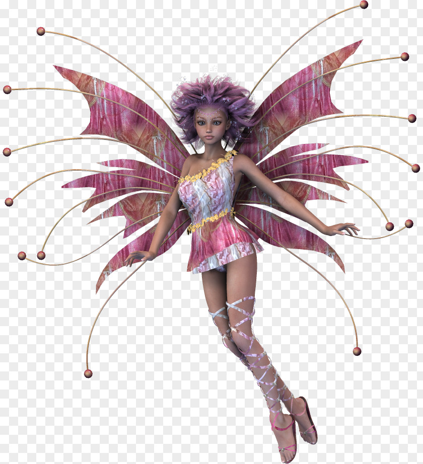 Fairy HTTP Cookie Clip Art PNG