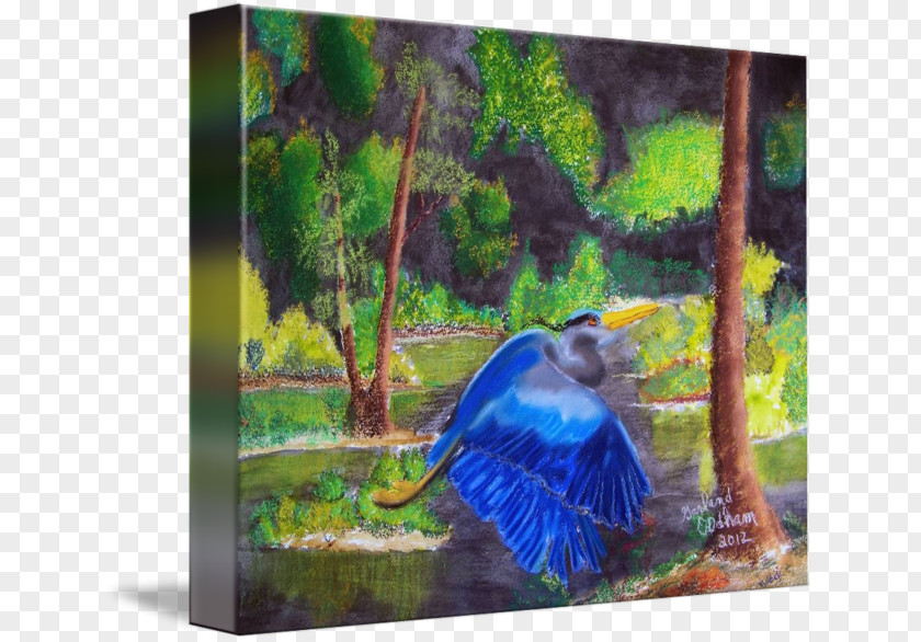 Painting Majorelle Garden Beak Blue Ecosystem Fauna PNG