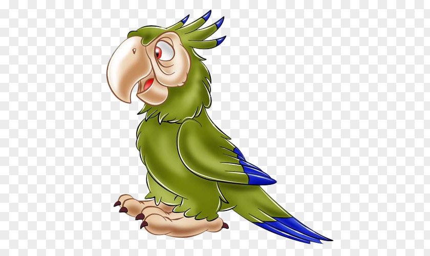 Parrot Bird Budgerigar Parakeet PNG
