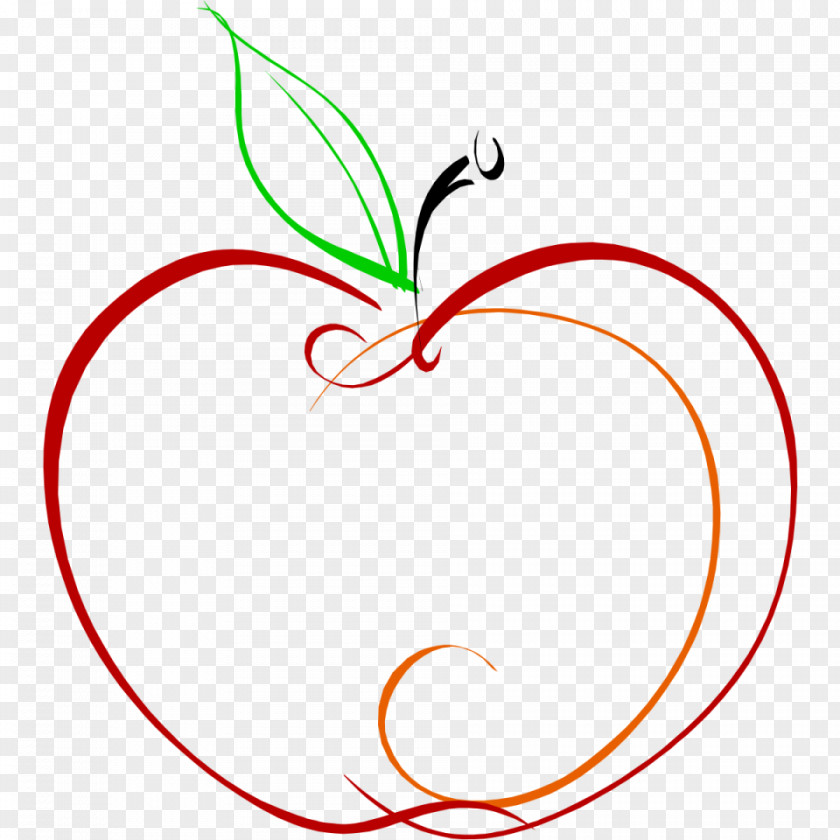 Pomegranate Drawing The Outline Clip Art PNG