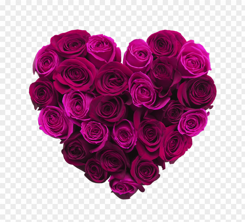 Purple Heart Valentine's Day Gift February 14 Love PNG