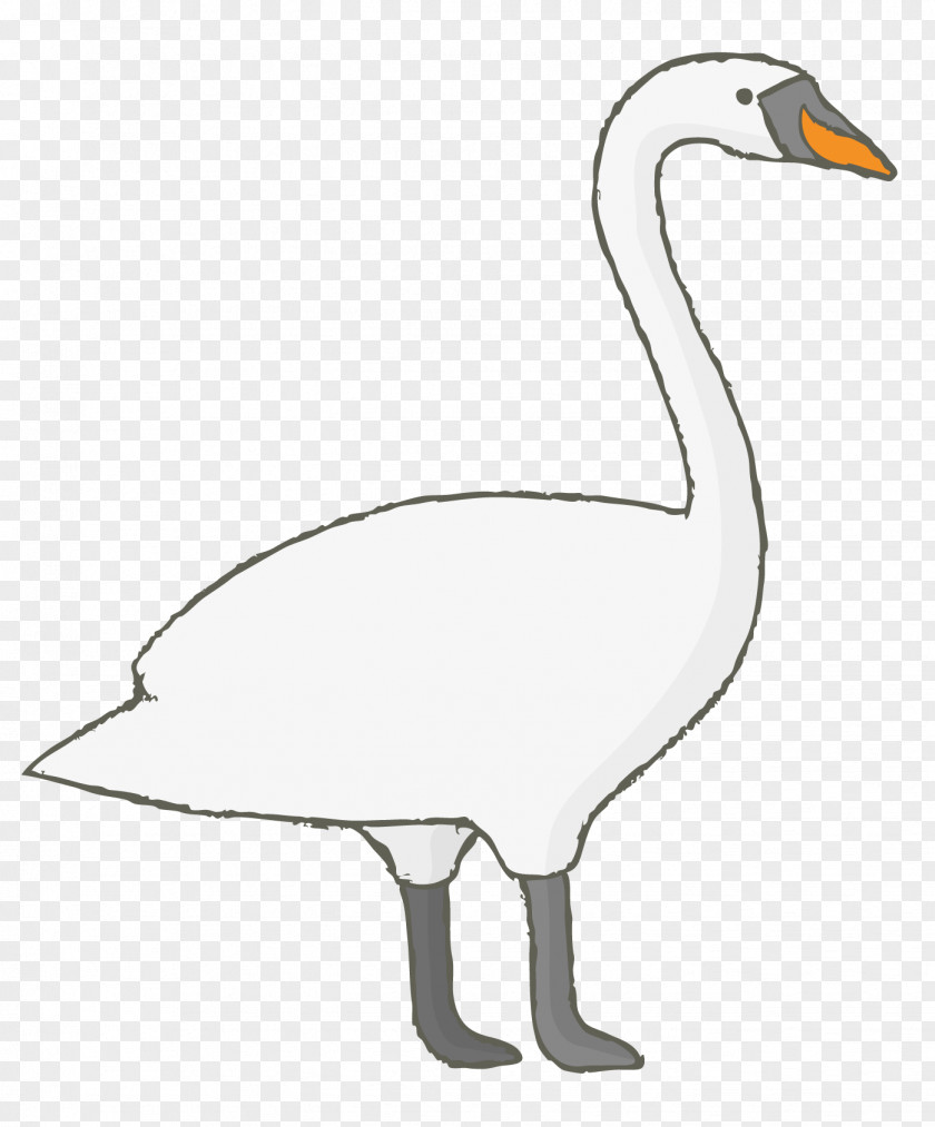 White Goose Duck Domestic Cygnini PNG