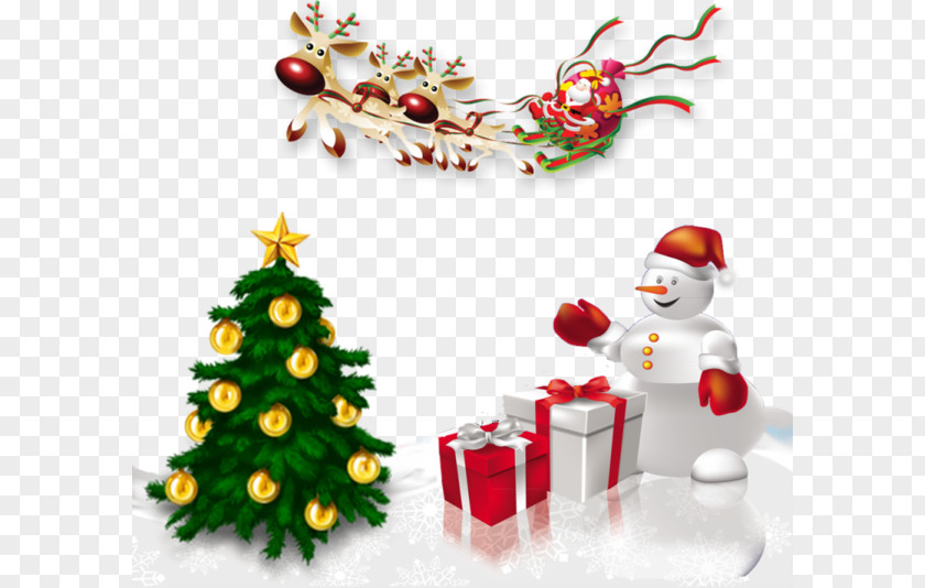 Christmas Tree IWeiss Theatrical Solutions Holiday PNG