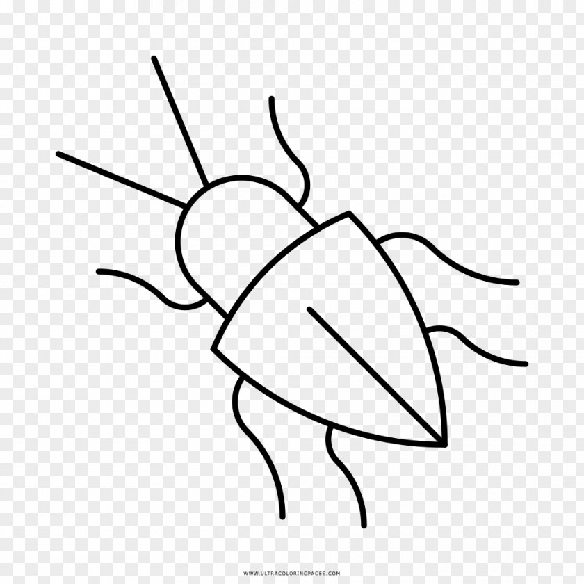 Beetle Drawing Black And White Clip Art PNG