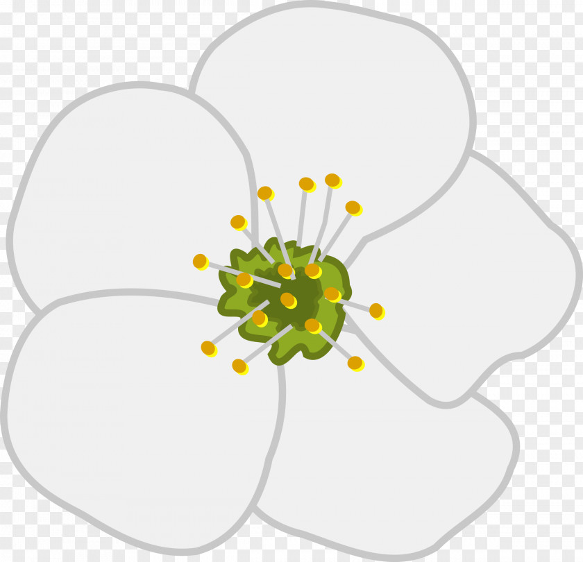 BLOSSOM Apple Pencil MacBook Pro Clip Art PNG