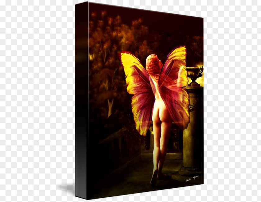 Fairy Light Canvas Print Painting Art Printing PNG