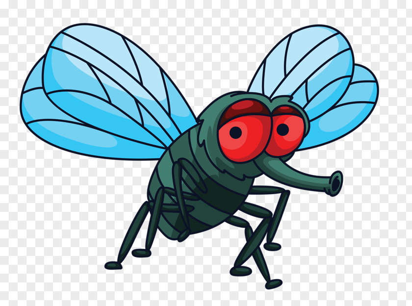 Insect Cartoon Fly House Wing PNG