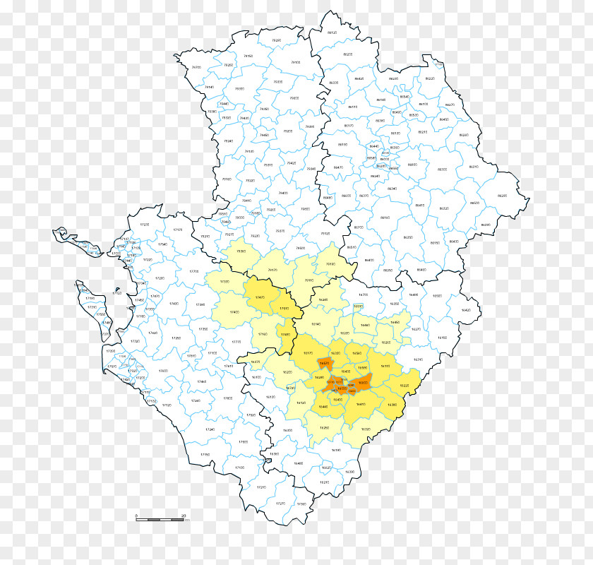 Line Point Map Tuberculosis PNG