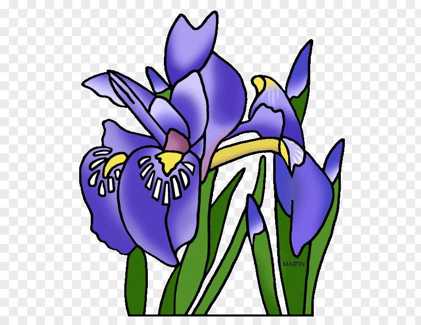 Louisiana Irises Tennessee Clip Art PNG