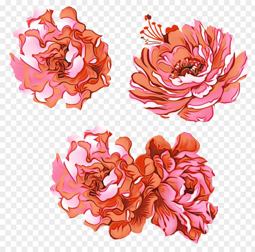 Peony Artificial Flower Floral Background PNG