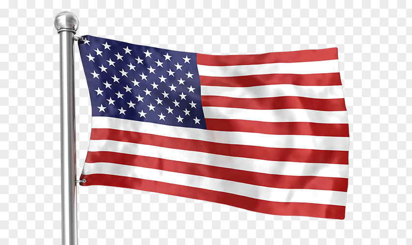 Government Services Flag Of The United States Independence Day Nationality Law PNG