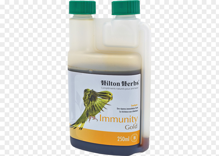 Bird Rock Dove Dietary Supplement Immunity Immune System PNG