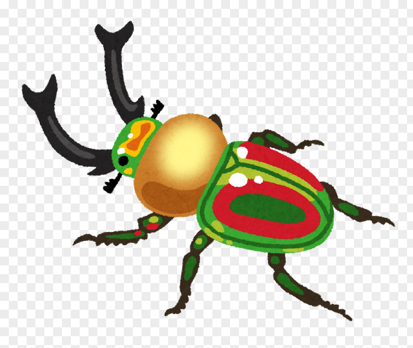 Insect Scarabs Phalacrognathus Muelleri Clip Art PNG